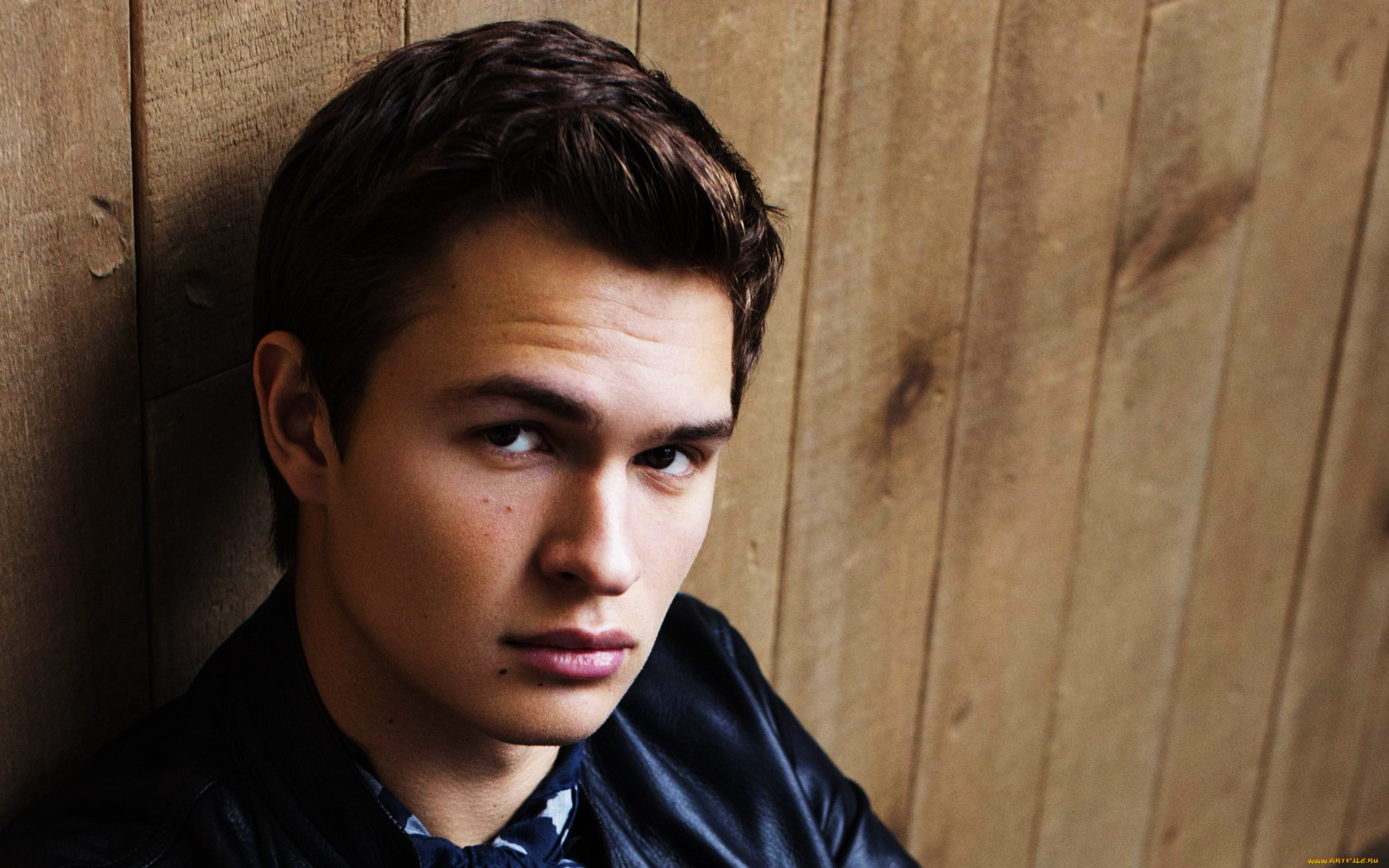 ansel elgort, , 